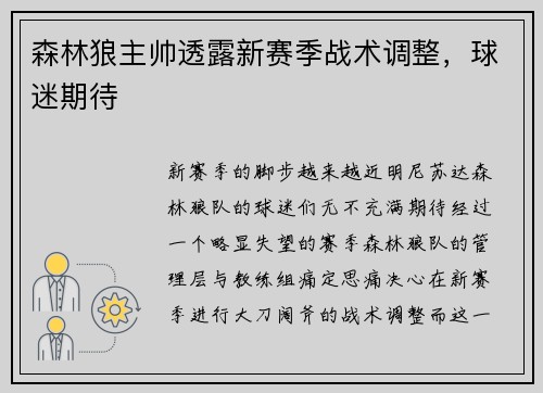 森林狼主帅透露新赛季战术调整，球迷期待