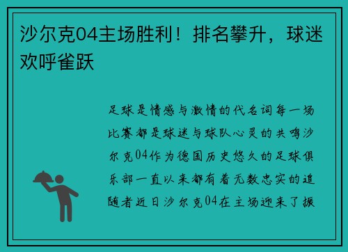 沙尔克04主场胜利！排名攀升，球迷欢呼雀跃